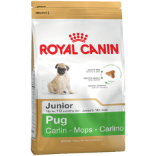 Pug Junior Royal Canin